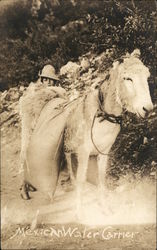 Mexican Water Carrier - Donkey Postcard