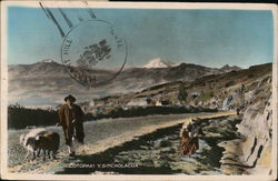 Cotopaxi Y Sincholagua Postcard