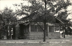 Norwood Cottage - Birchwood Pines, Minocqua, Wis Postcard