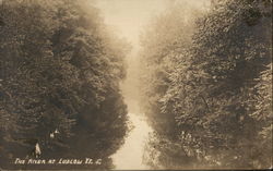 The river at Ludlow, VT Vermont Postcard Postcard Postcard