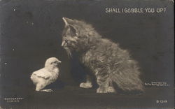 Shall I Gobble You Up? Postcard