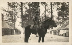 Soldier in Camp Posing on a Horse People in Uniform Postcard Postcard Postcard