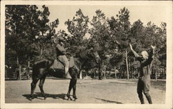 Soldier on Horseback Holding Man at Gunpoint Postcard