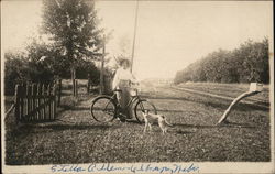 Woman Posing With a Bicycle and Dog Postcard