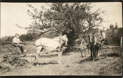 Boys in Horse Carts Postcard