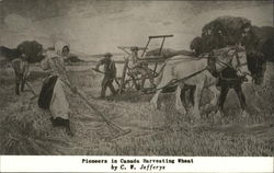 Canadian Pioneers Harvesting Wheat Farming Postcard Postcard Postcard