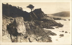 The Lone Cypress Pebble Beach, CA Postcard Postcard Postcard