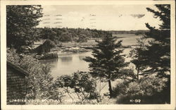 Lobster Cove, Boothbay Harbor, Maine Postcard