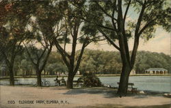 Eldridge Park Elmira, NY Postcard Postcard Postcard