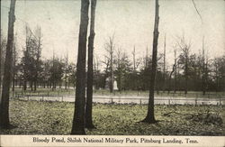 Bloody Pond, Shiloh National Military Park Pittsburg Landing, TN Postcard Postcard Postcard