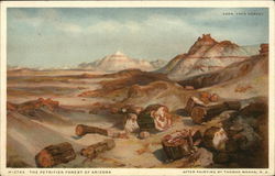 The Petrified Forest of Arizona Postcard