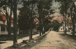 Looking Along Chestnut Street Liberty, NY Postcard Postcard Postcard