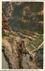 Looking Down Cathedral Stairs on Hermit Trail Grand Canyon National Park Postcard Postcard Postcard