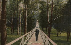 The Board Walk, Presideio Postcard