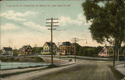 Flax Pond, Junction of Maple St. and Euclid Ave. Postcard