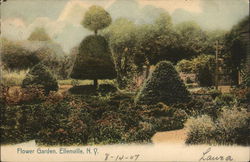 Flower Garden Postcard