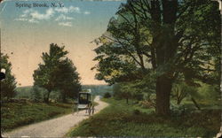 Buggy on a narrow tree-lined road Spring Brook, NY Postcard Postcard Postcard