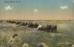 Teams of horses pulling wagons across a field Postcard