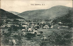 A view of East Branch, N.Y. New York Postcard Postcard Postcard