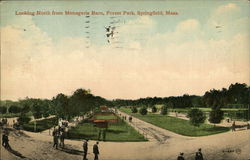 Looking north from Menagerie Barn, Forest Park Postcard