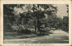 Linden Drive, NayAug Park Scranton, PA Postcard Postcard Postcard