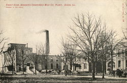 Front view, Borden's Condensed Milk Co. Plant Dixon, IL Postcard Postcard Postcard