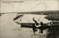 Man in boat pulling in a huge fish Postcard