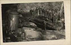 Loggers Standing on Cut Timber and Sitting on Machinery California Logging Postcard Postcard Postcard