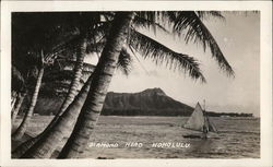 View of Diamond Head Postcard