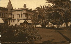 Park and Street Views Postcard