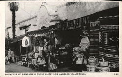 Souvenir of Santana's Curio Shop Los Angeles, CA Postcard Postcard