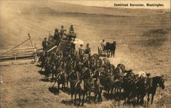 Horses Pulling Combined Harvester, Washington Farming Postcard Postcard