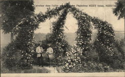 Carrefour dans l'Allée - Pépinières Nizet Fréres Postcard