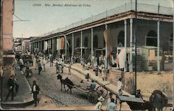 The Market Postcard