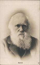 Charles Darwin Men Postcard Postcard Postcard