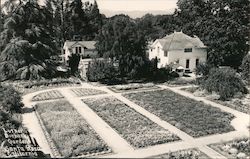 Luther Burbank Gardens Postcard