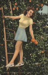 Orange Picking Time in Sunny Florida Postcard Postcard Postcard