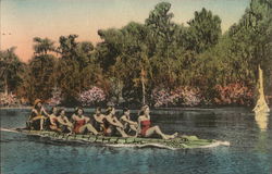 The Mechanical Alligator Carries a Band of Water Nymphs Postcard