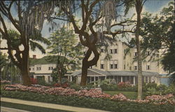 Grey Gull Inn Clearwater, FL Postcard Postcard Postcard