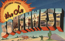 Greetings from the Ole Southwest Large Letter Postcard Postcard Postcard