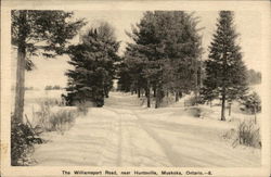 The Williamsport Road, Near Huntsville Postcard