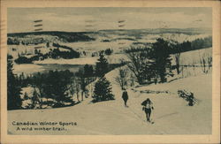 Winter Scene With Cross-Country Skiiers Postcard