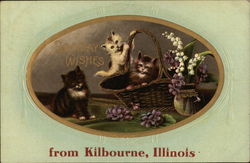 Birthday Wishes From Kilbourne, Illinois Postcard