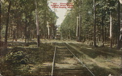 Through the Soldiers' Home Woods Postcard