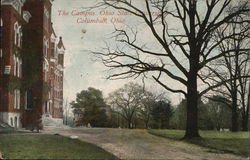 The Campus, Ohio State University Postcard