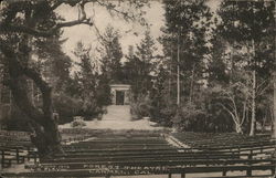 Forest Theatre Postcard