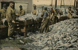 Splitting Fresh Fish at the Port Postcard