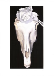 The Georgia O'Keeffee museum - Horse's Skull with White Rose, 1931 Santa Fe, NM Modern Postcard Postcard Postcard