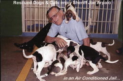 Rescued Dogs & Cats enjoy Sheriff Joe Arpaio Postcard