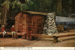 Tharp's Log, Sequoia National Park, California Postcard